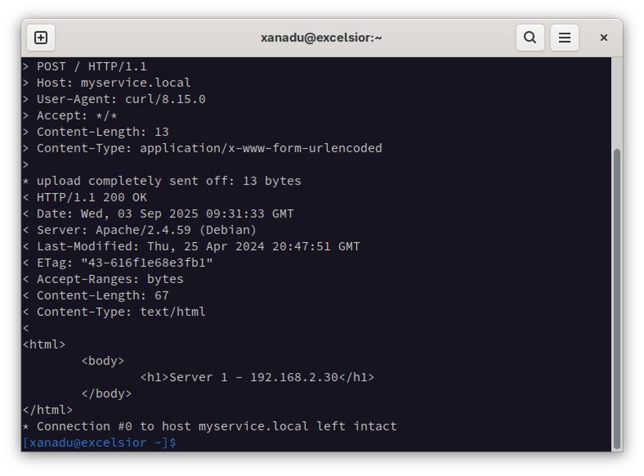 Screenshot of a Linux terminal window 成功したウェブ応答を示している」 data-sf-ec-immutable=